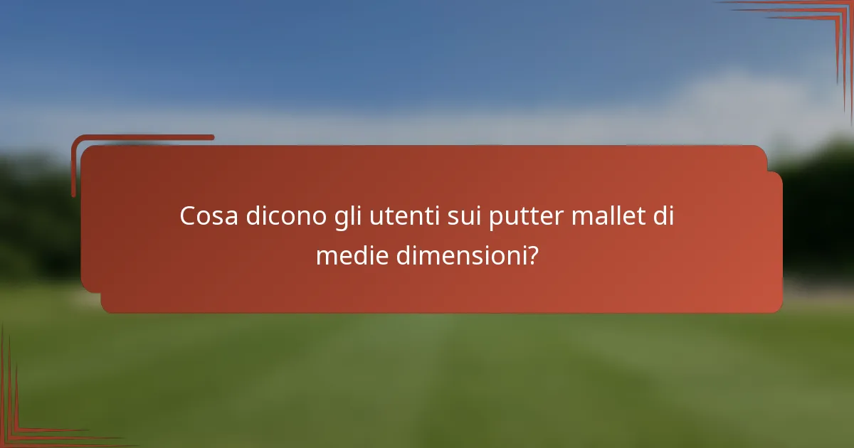 Cosa dicono gli utenti sui putter mallet di medie dimensioni?