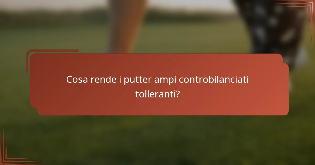 Cosa rende i putter ampi controbilanciati tolleranti?
