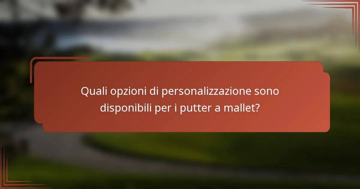 Quali opzioni di personalizzazione sono disponibili per i putter a mallet?
