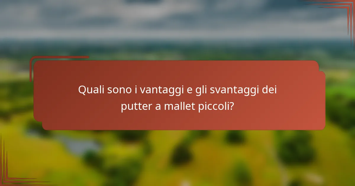 Quali sono i vantaggi e gli svantaggi dei putter a mallet piccoli?