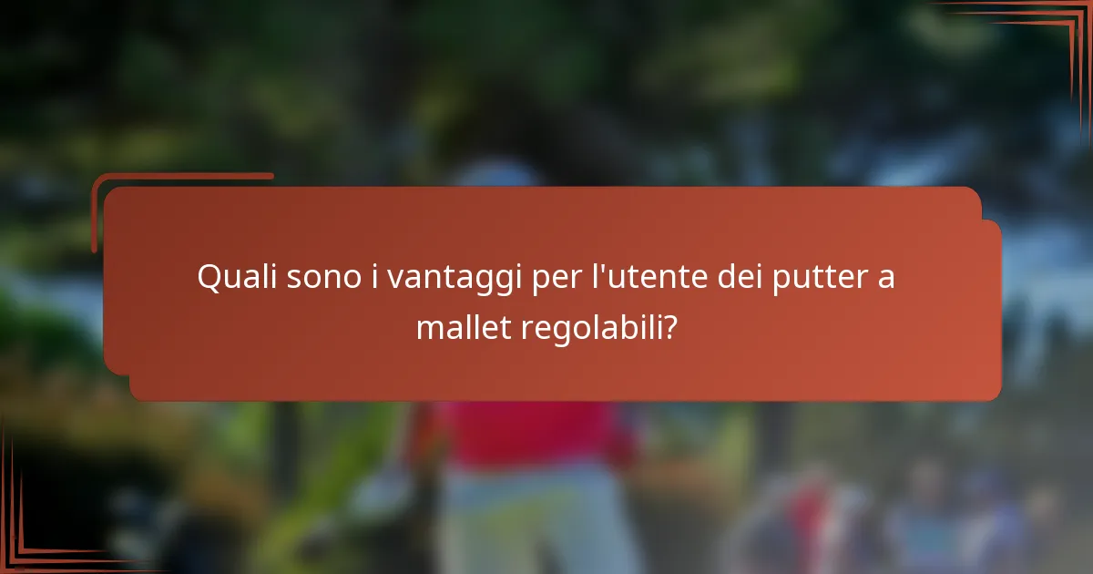 Quali sono i vantaggi per l'utente dei putter a mallet regolabili?